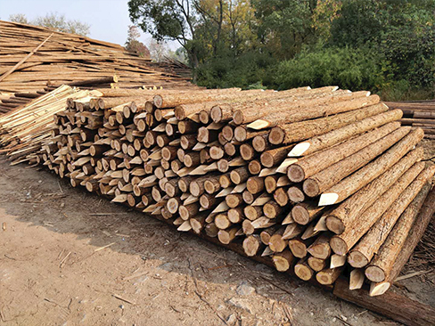 圓木樁的防腐處理工藝有哪些（如CCA、ACQ）？